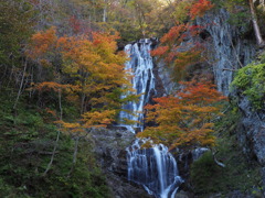 紅葉の滝