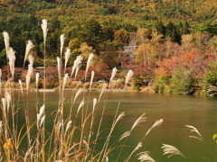 大沼湖の秋色