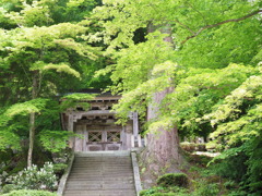 北陸への旅（１）