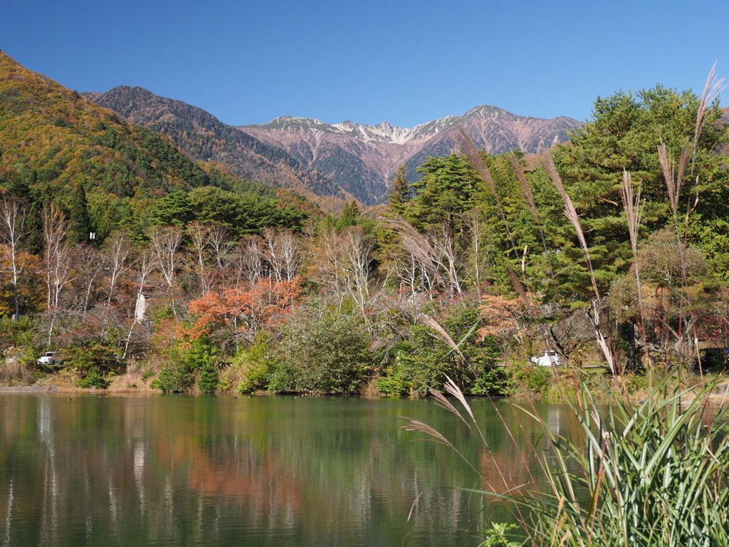 大沼湖の秋