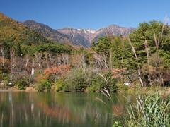 大沼湖の秋