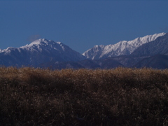 春を待つアルプス