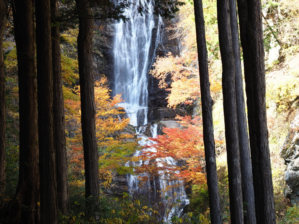 唐沢の滝（３）