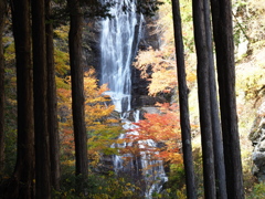 唐沢の滝（３）