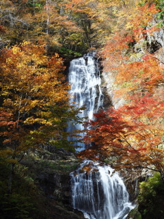 唐沢の滝（１）