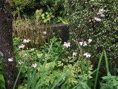 花盛り