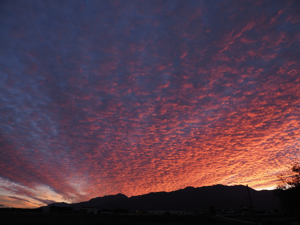 中央アルプス焼けました
