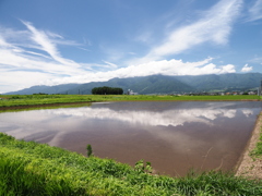 夏雲に魅せられて
