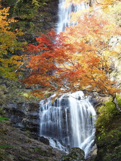 唐沢の滝（２）