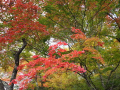 高遠城址（４）