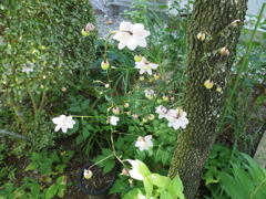 上から見下ろして