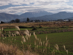 仙丈ケ岳
