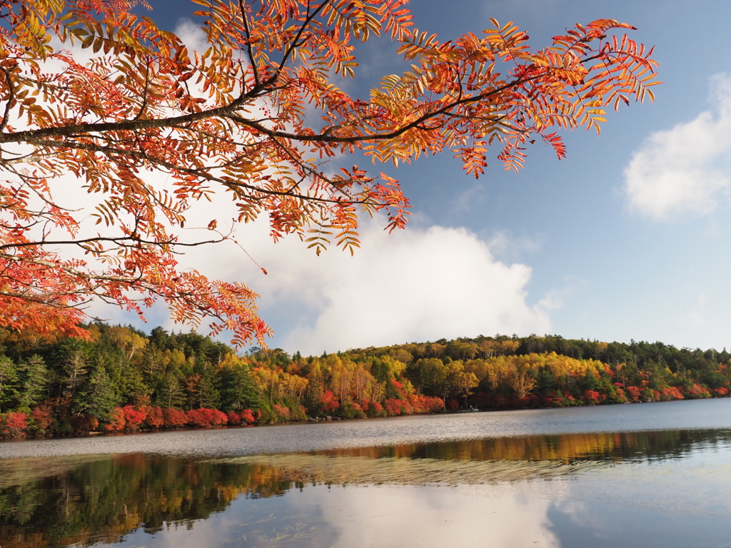 白駒の池（５）