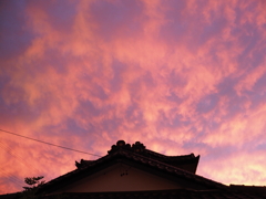 夏の終わりのハーモニー