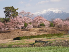 のどかな春の景色