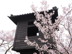 高遠城址にて（２）