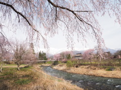 大出公園（２）