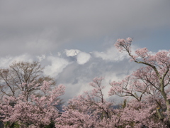 高遠城址にて（４）