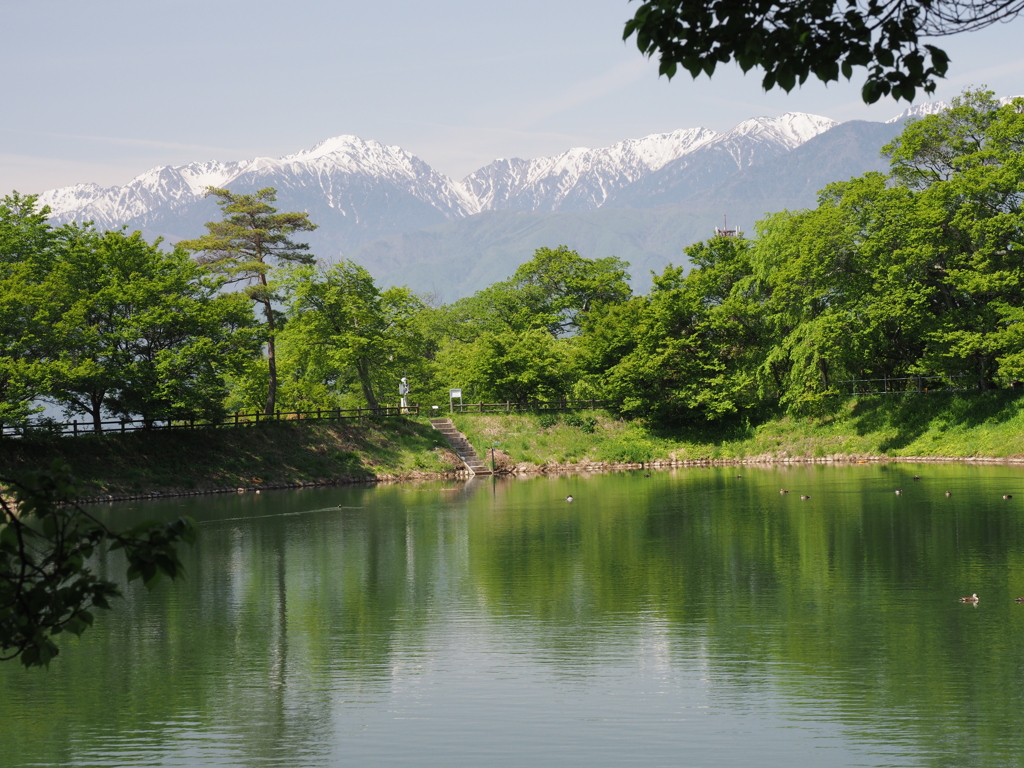 さくら咲く頃また来てね