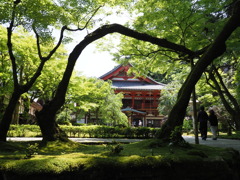 北陸への旅（８）