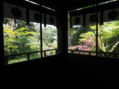 北陸への旅（９）