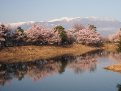 堤の春
