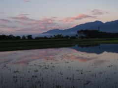 朝焼け映り込み