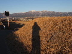 朝日を背に受けて