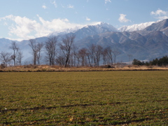 冬の田園風景（１）