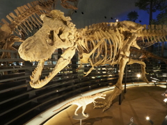 北陸への旅（５）