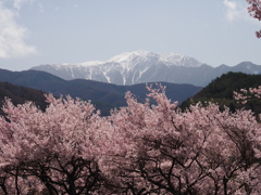 高遠城址にて（５）