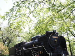 D51