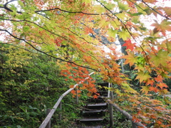 高遠城址の彩（４）