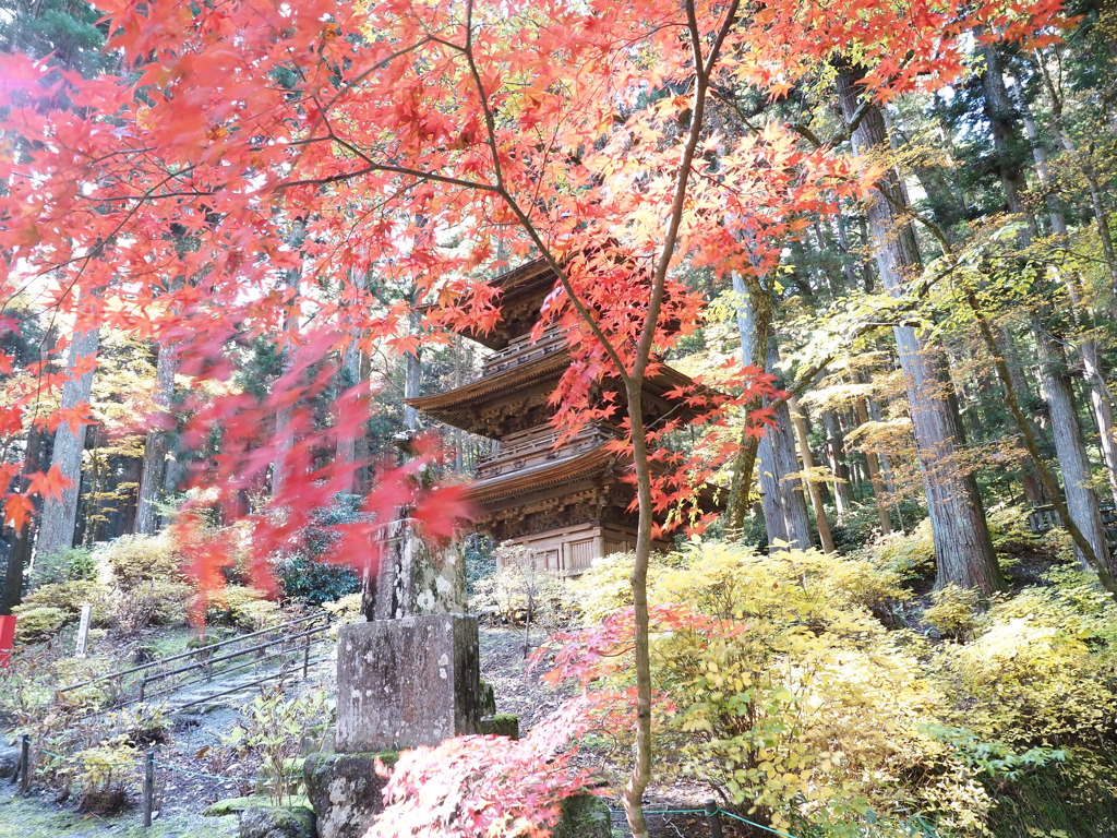 光前寺を訪ねて