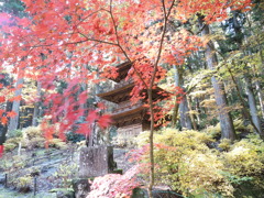 光前寺を訪ねて