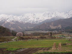 野平全景