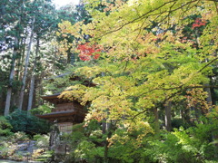 光前寺の彩（３）