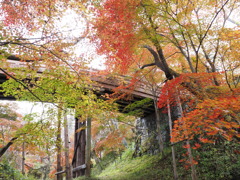 高遠城址の紅葉