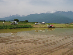 季節は巡る