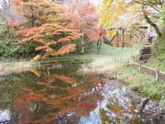 高遠城址の彩（１）