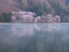 今年も来ました。