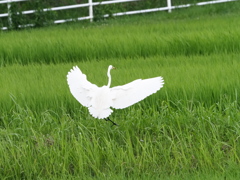 君を追って