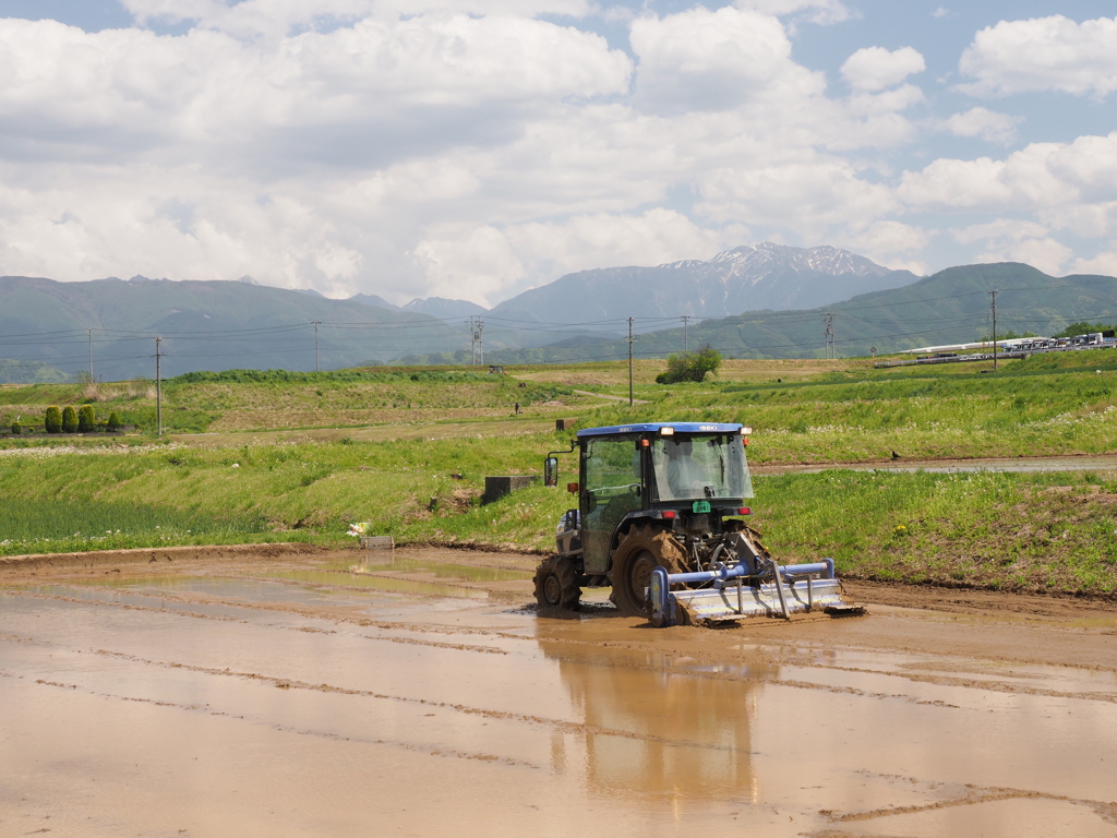 遠くに仙丈を眺めながら