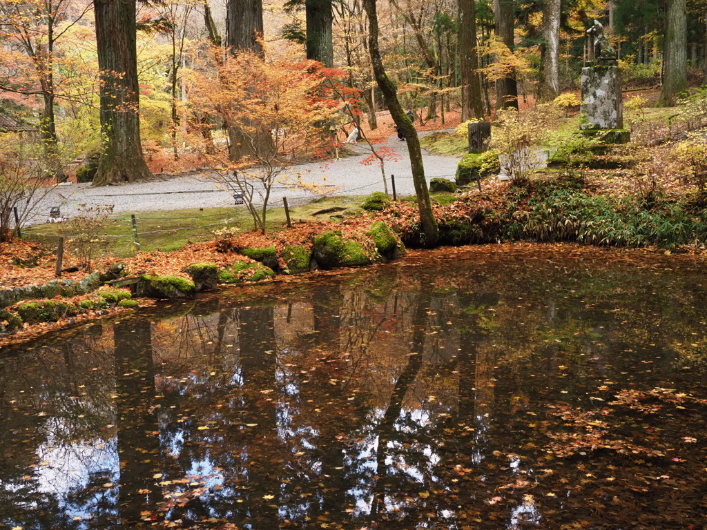 光前寺の紅葉（４）