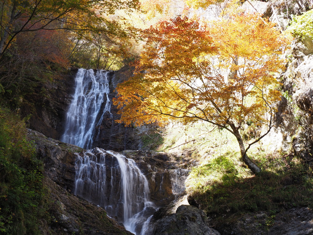 唐沢の滝