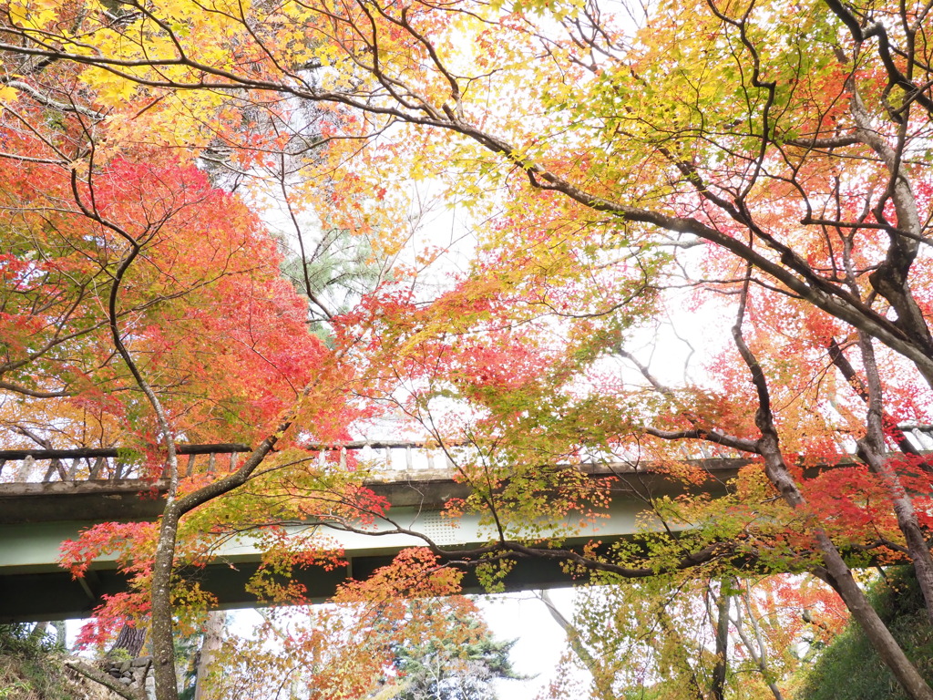 高遠城址の彩（５）