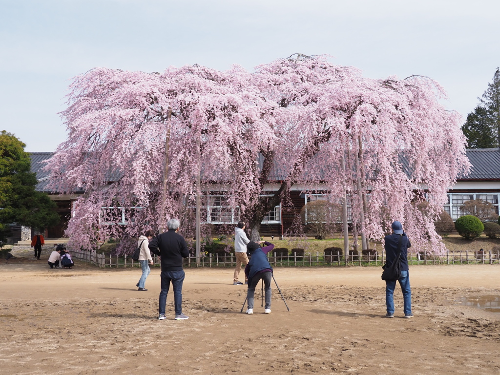 人それぞれに