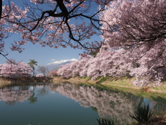 六道の堤
