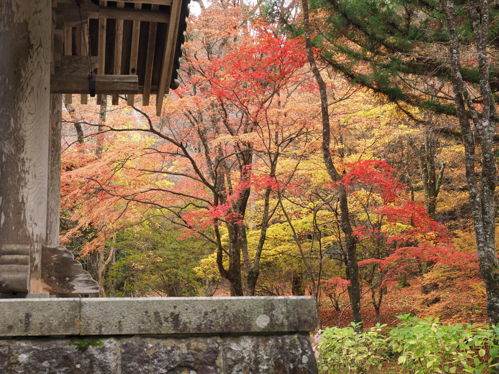 光前寺の紅葉（６）