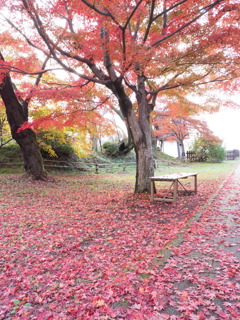 高遠城址の彩（７）